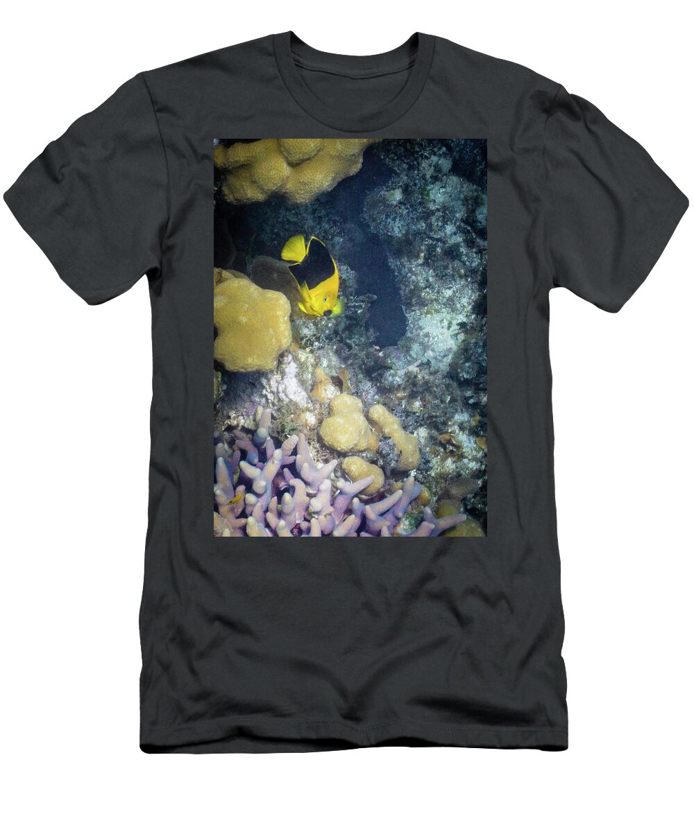 Animals T-Shirt featuring the photograph Greetings by Lynne Browne