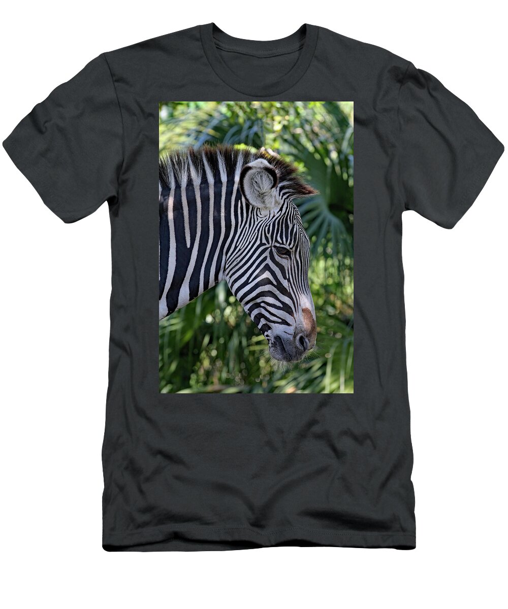 Jenniferrobin.gallery T-Shirt featuring the photograph Grevy's Zebra - Broken Spirit by Jennifer Robin