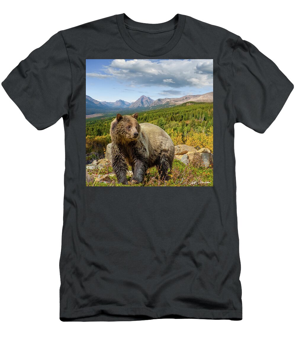 Adult T-Shirt featuring the photograph Grizzly Bear in Glacier National Park by Jeff Goulden