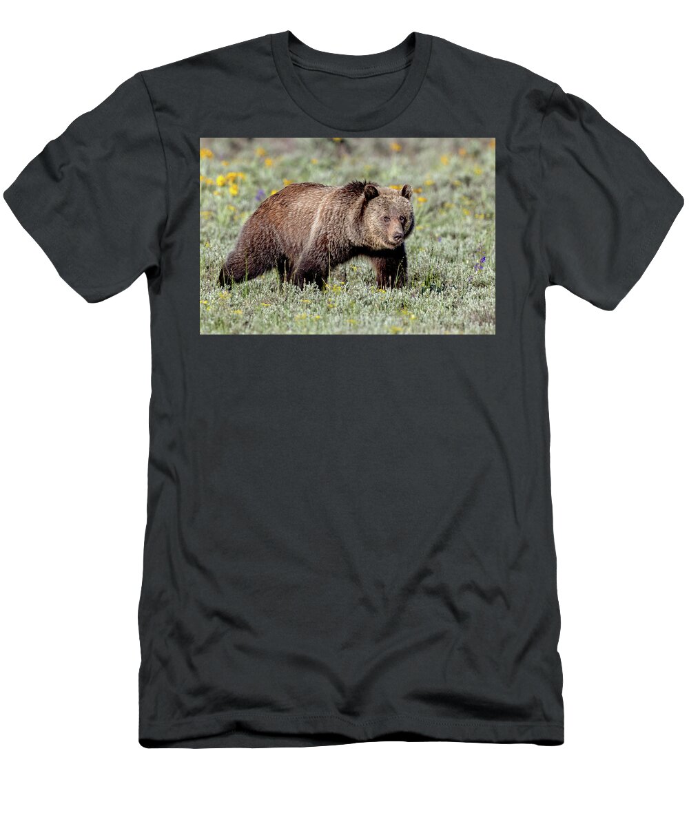 Grizzly Bear T-Shirt featuring the photograph Grizzly Bear Stepping Out by Jack Bell