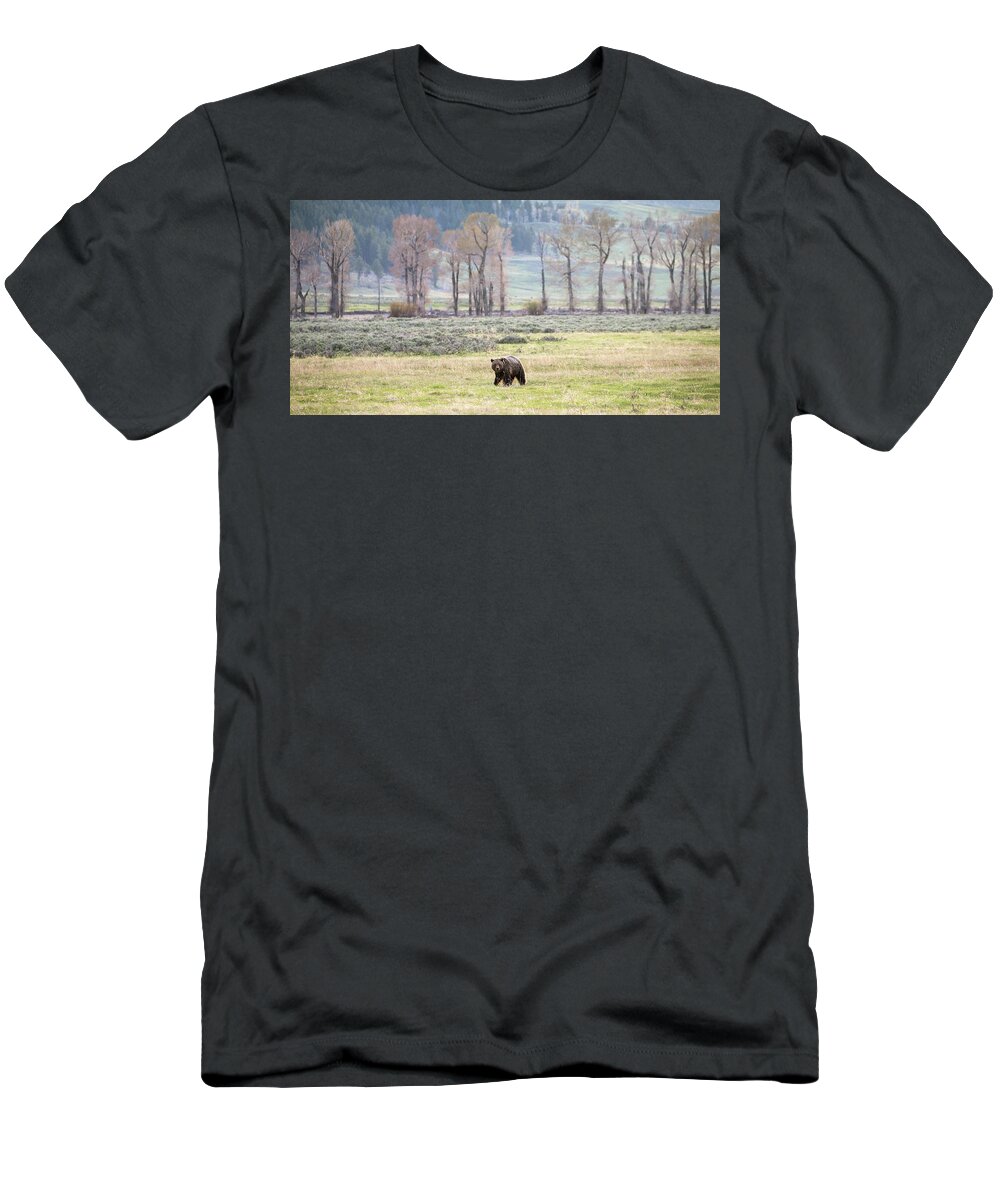 Grizzly Bear T-Shirt featuring the photograph Grizzly on the Valley Floor by Max Waugh