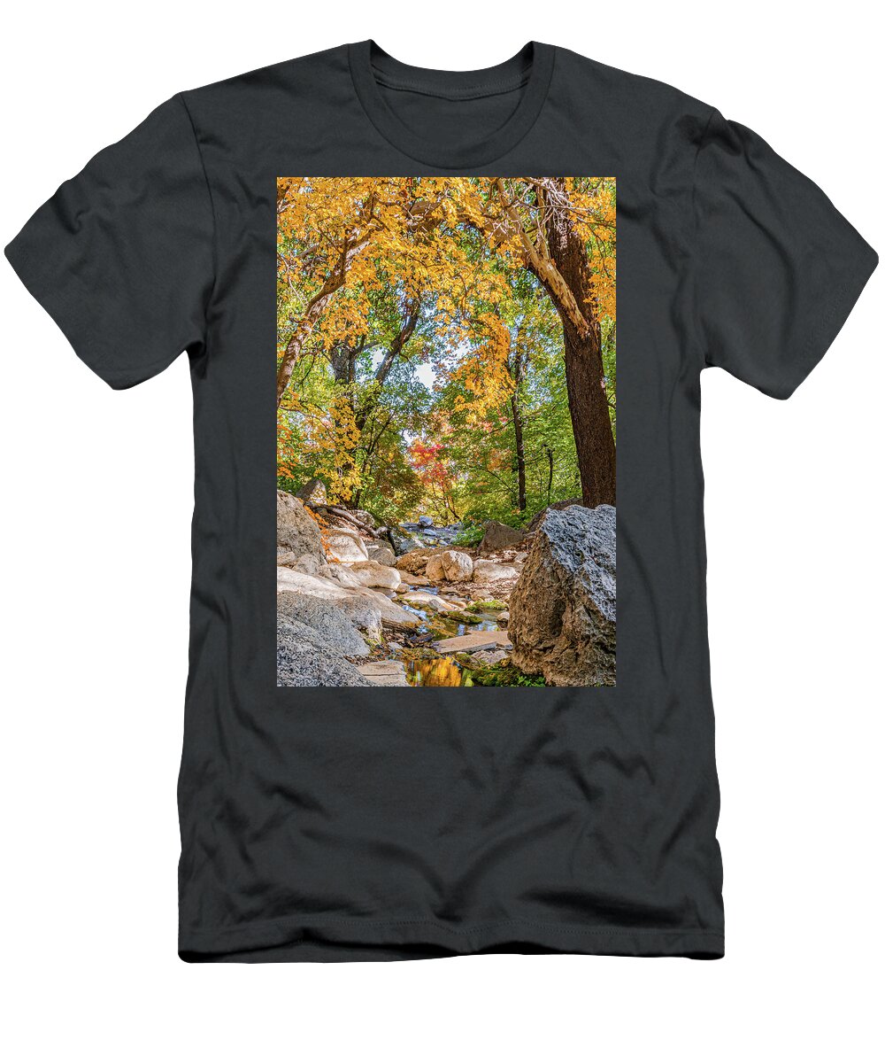 West Texas T-Shirt featuring the photograph Guadalupe Fall Colors by Erin K Images