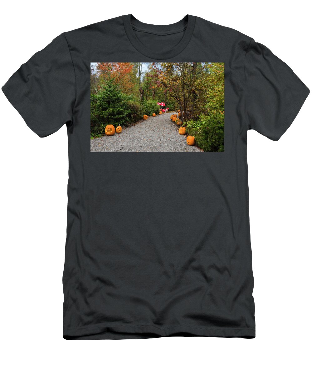 Alex Lyubar T-Shirt featuring the photograph Halloween Pumpkins on the gravel trail by Alex Lyubar