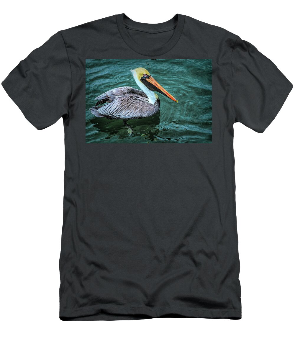 Birds T-Shirt featuring the photograph Handsome Pelican by Debra and Dave Vanderlaan