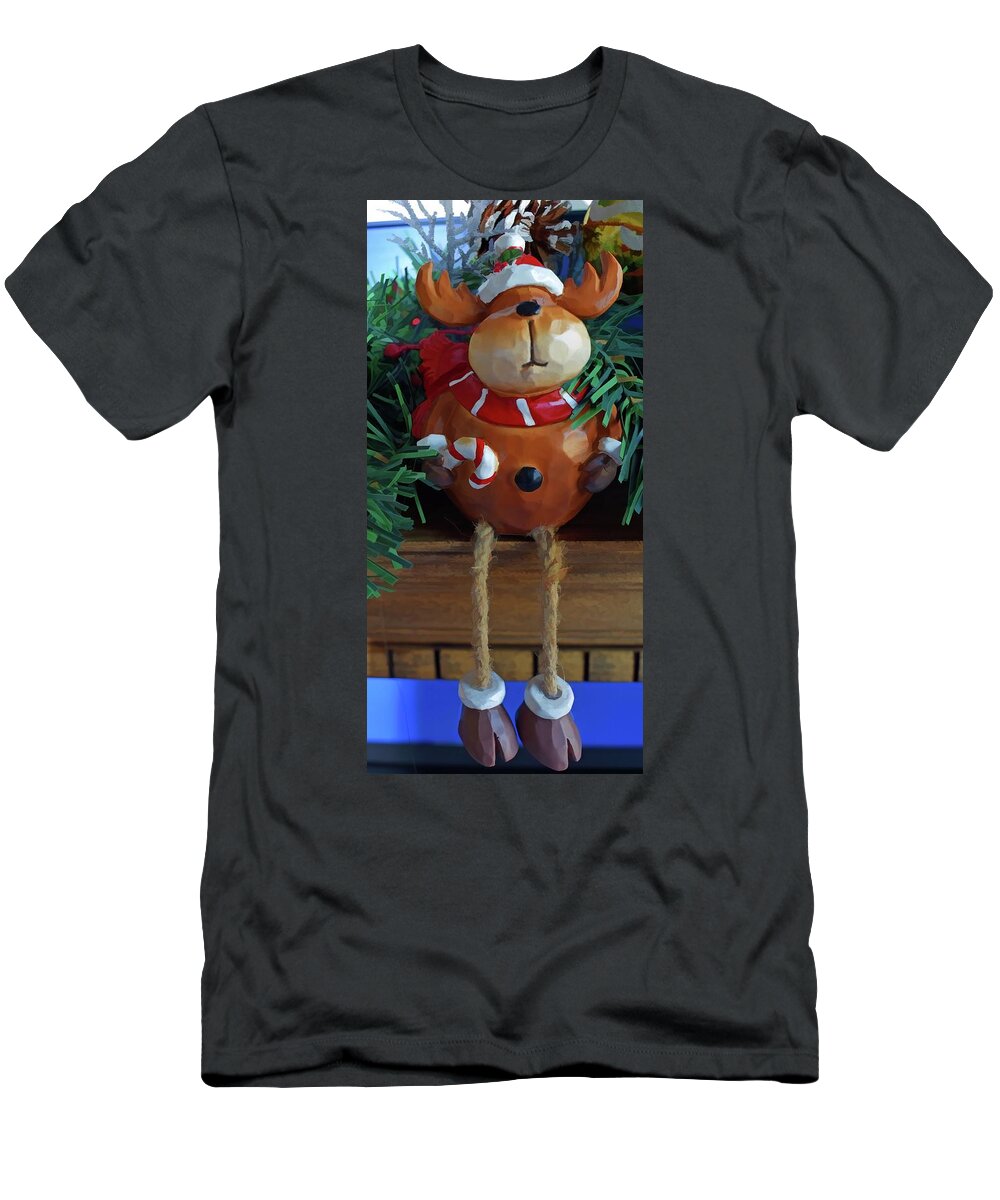 Christmas Décor T-Shirt featuring the photograph Hanging Around Two by Roberta Byram