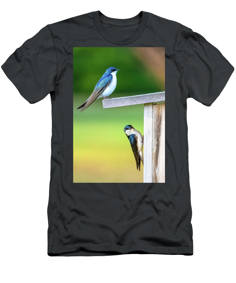 Swallow T-Shirt featuring the photograph Happy Couple by Brad Bellisle