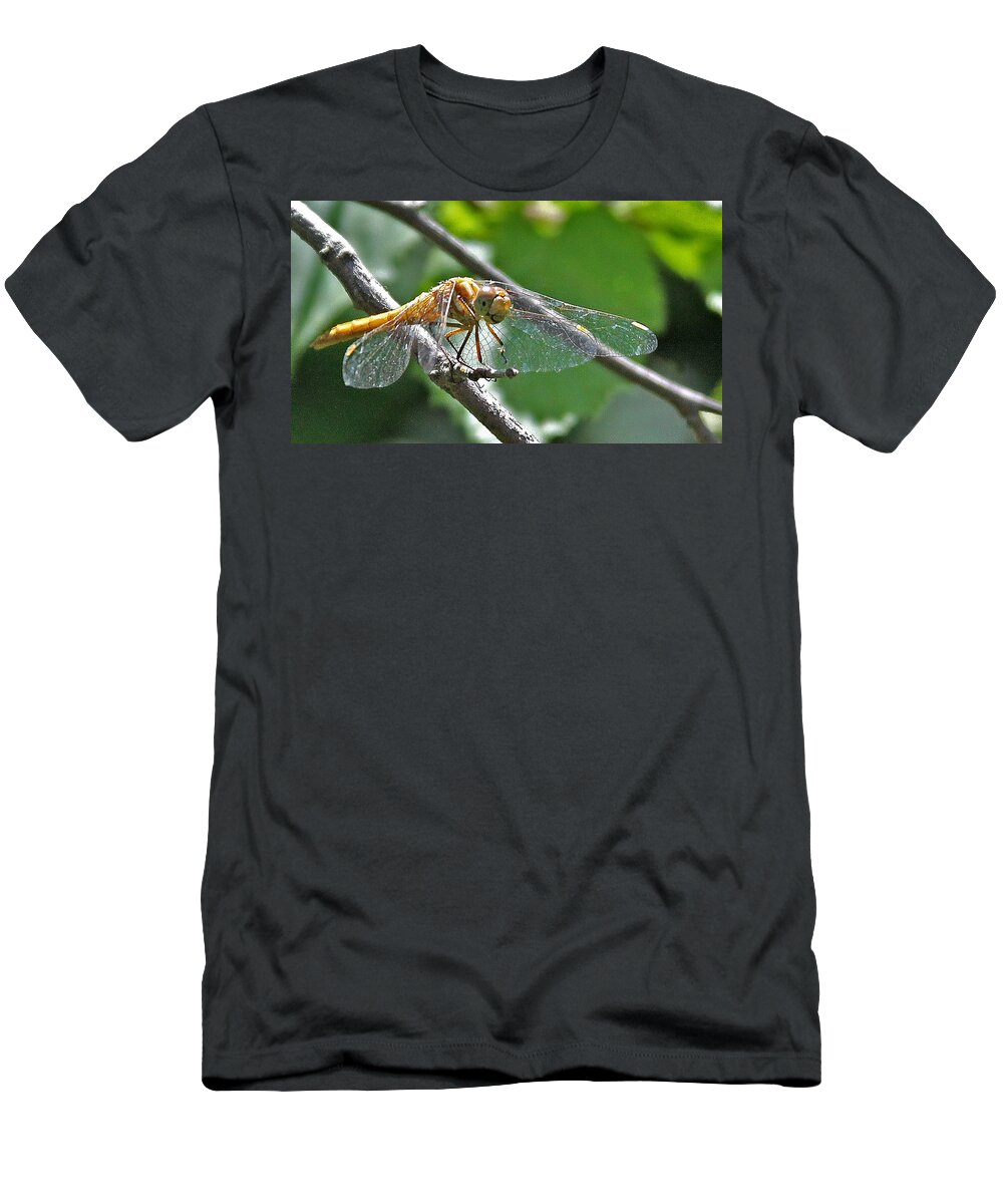 Insect T-Shirt featuring the photograph Happy Dragonfly by Carol Jorgensen