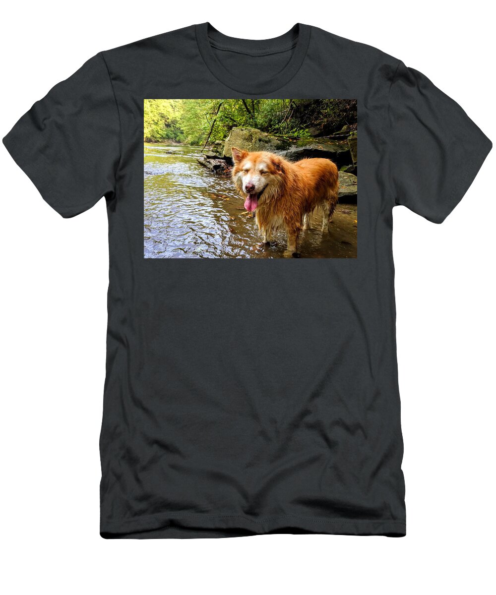  T-Shirt featuring the photograph Happy Pup by Brad Nellis