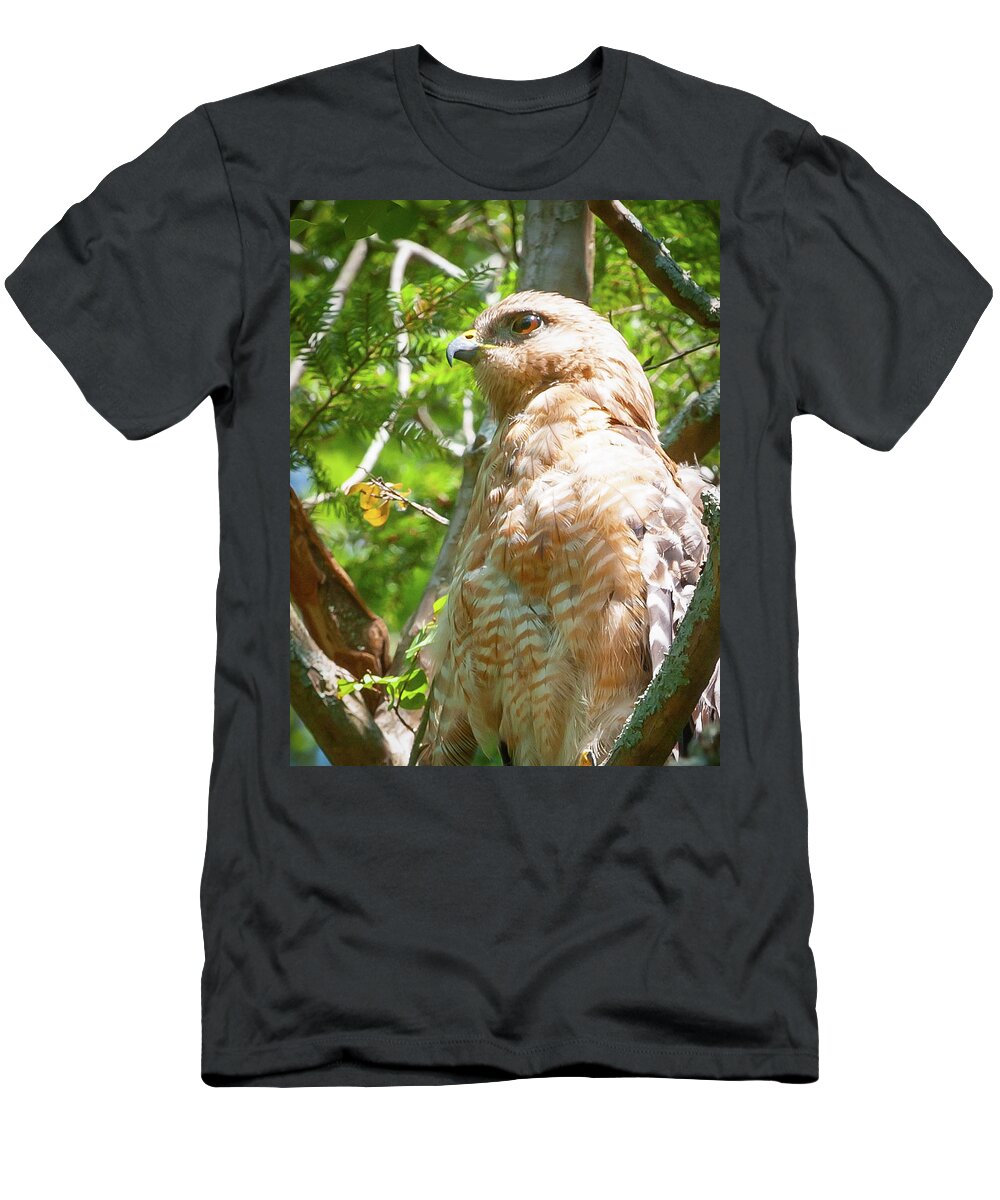 Hawk T-Shirt featuring the photograph Hawk by Brent Craft