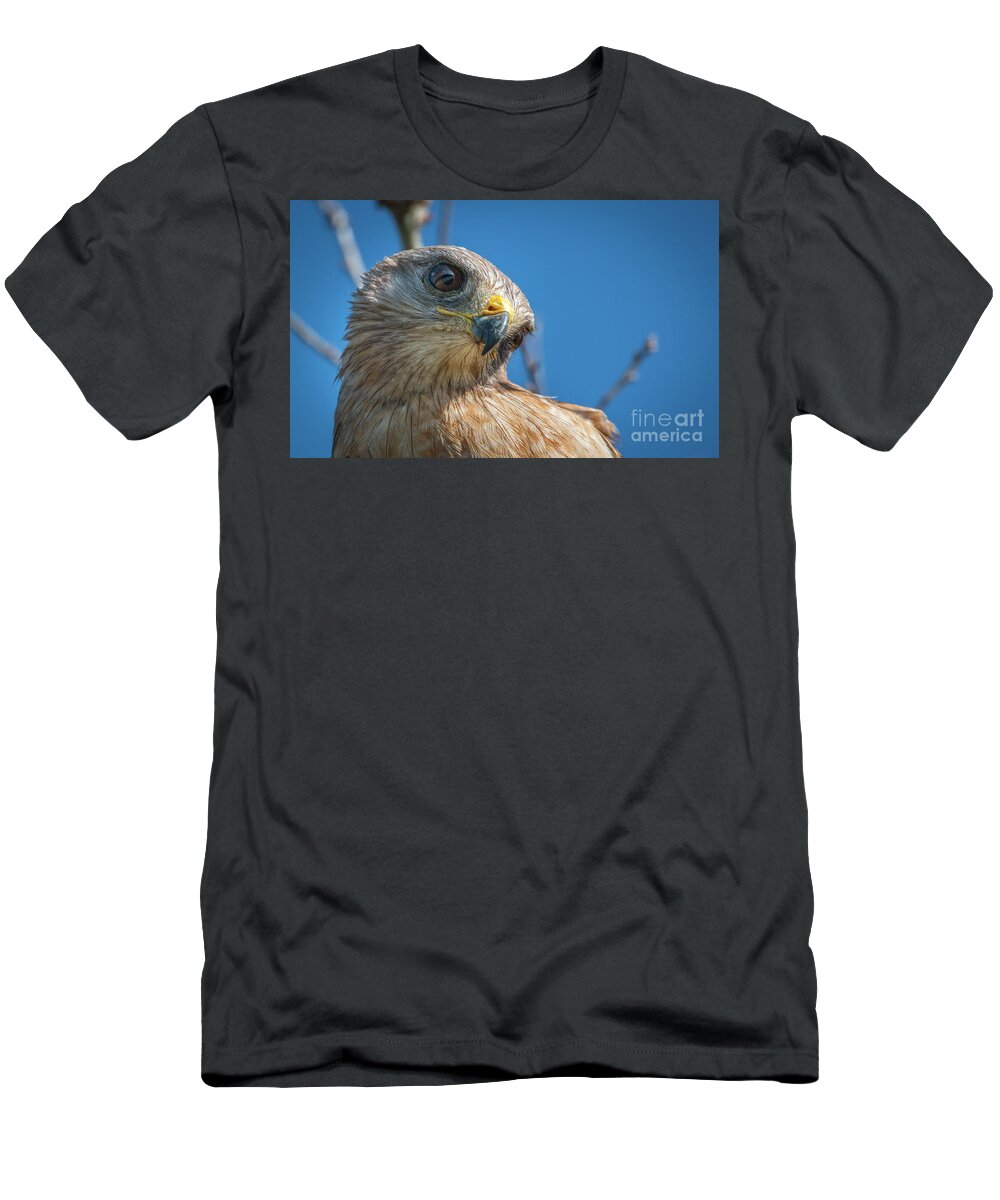 Hawk T-Shirt featuring the photograph Hawk Close Up #2 by Tom Claud