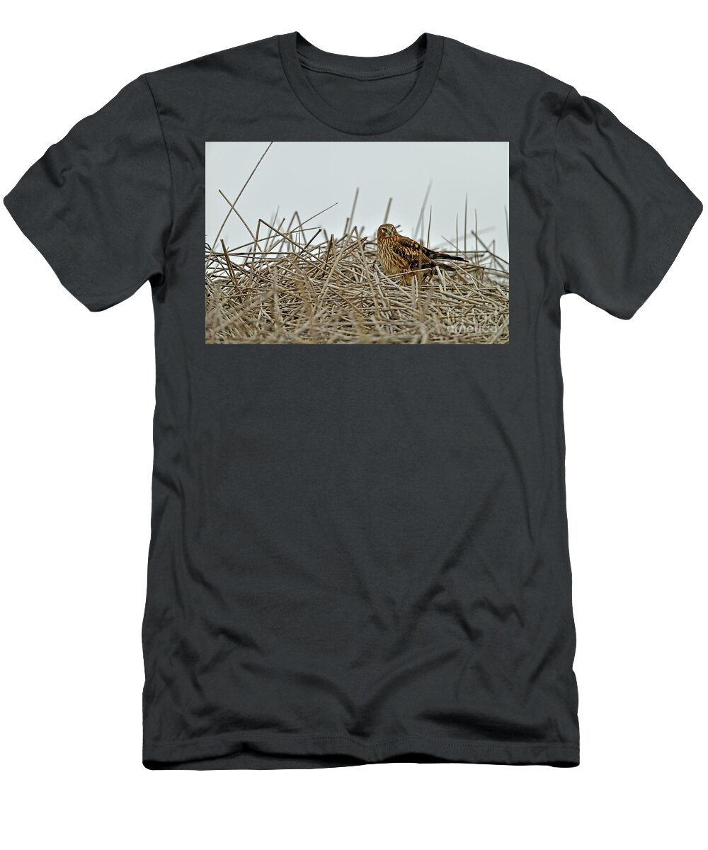Hawk T-Shirt featuring the photograph Hawk in the Nest by Amazing Action Photo Video
