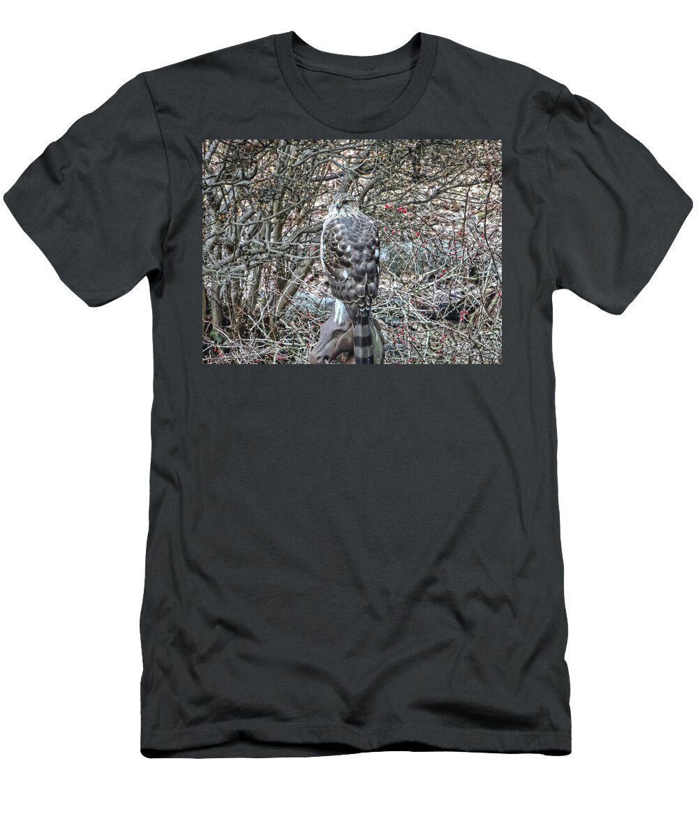 Hawk T-Shirt featuring the photograph Hawk Sitting on Horse Head by Russel Considine