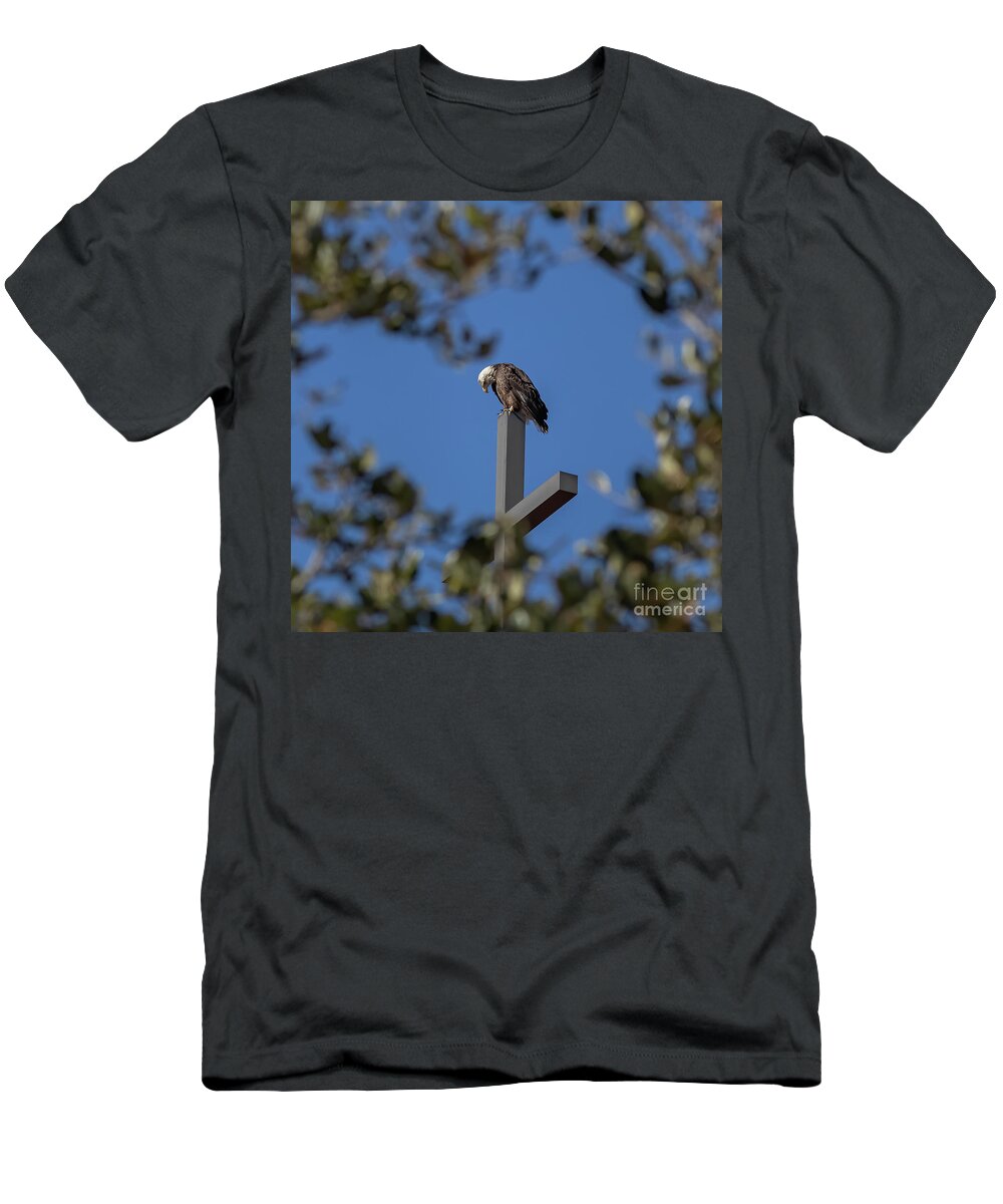  T-Shirt featuring the photograph Heart Of America by JASawyer Imaging