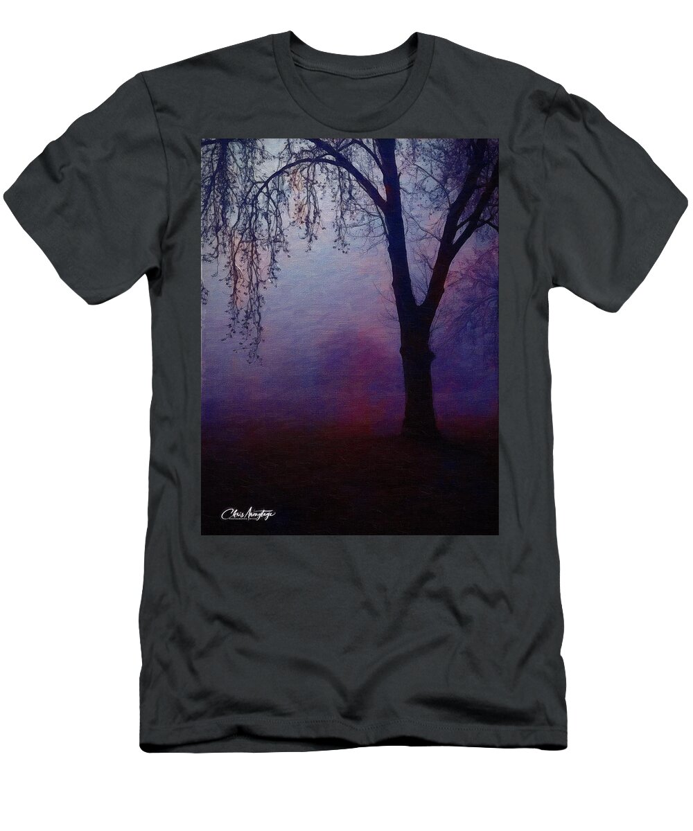 Twilight T-Shirt featuring the digital art Heavenly shades by Chris Armytage
