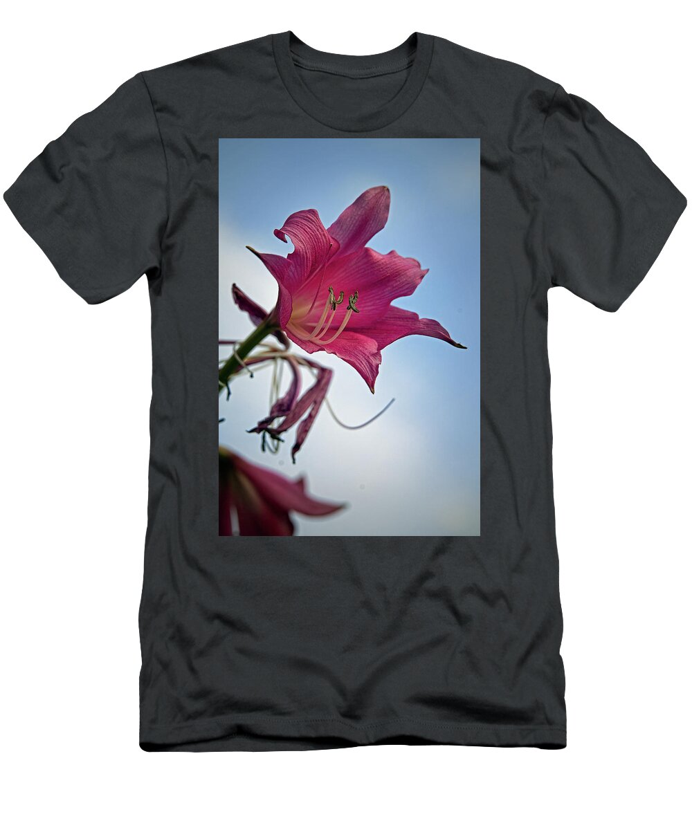 Lily T-Shirt featuring the photograph Heirloom by M Kathleen Warren