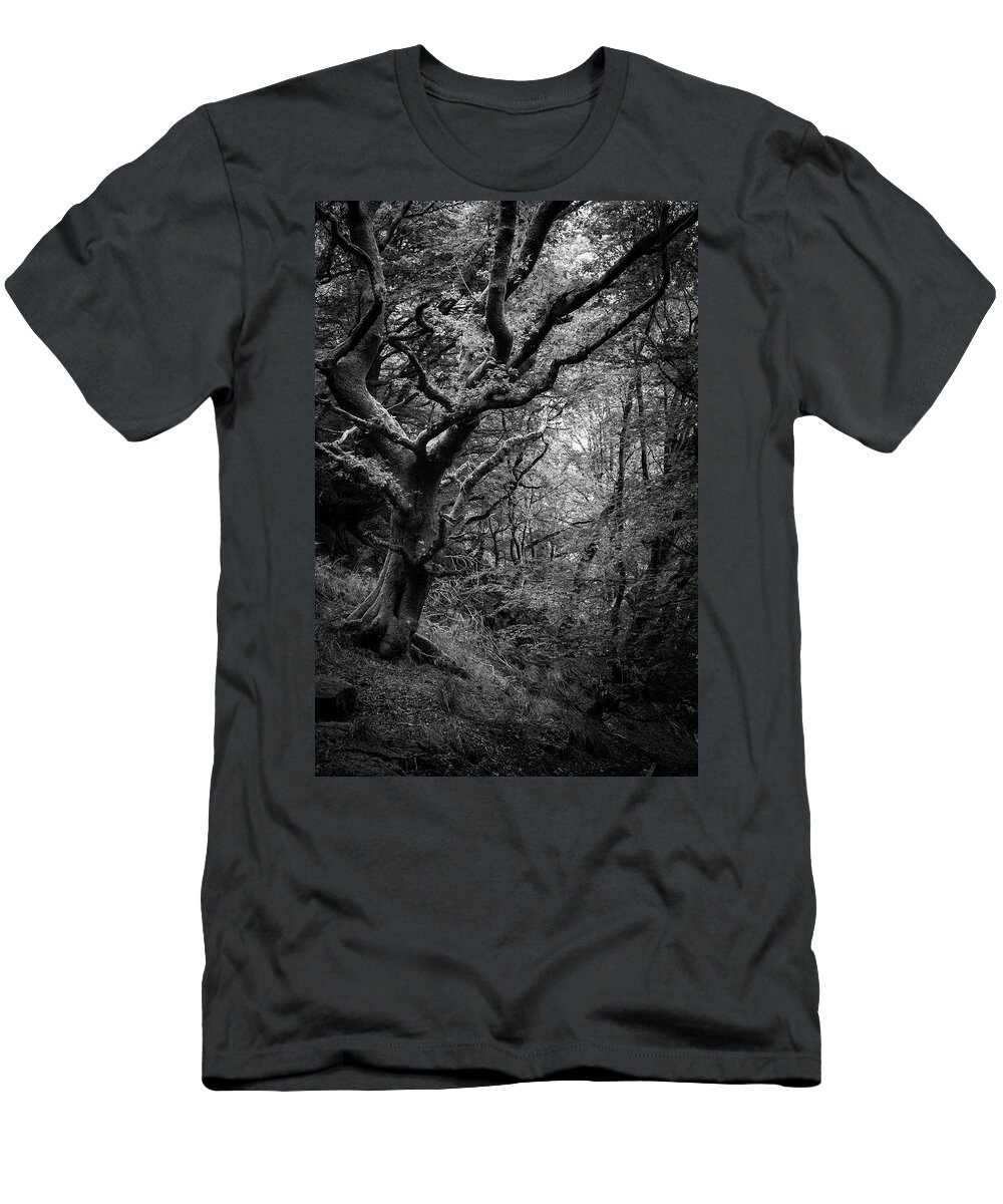Tree T-Shirt featuring the photograph Hello darkness by Gavin Lewis