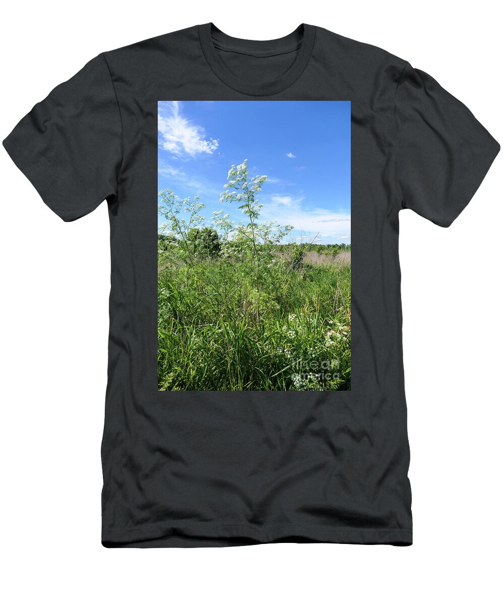 Hemlock T-Shirt featuring the photograph Hemlock flowering against the sky by Bentley Davis