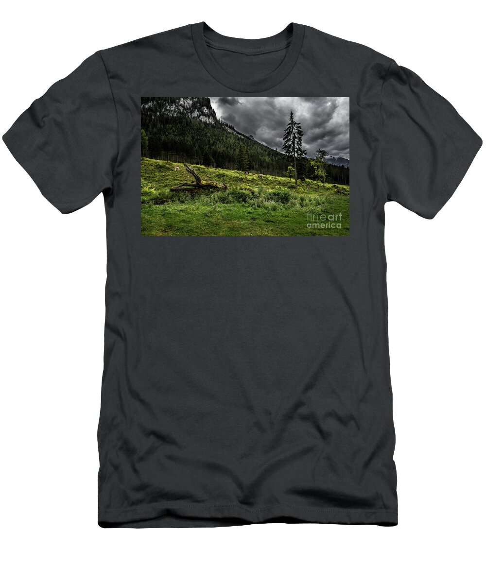 Austria T-Shirt featuring the photograph Herd Of Cows In National Park Gesaeuse In The Ennstaler Alps In Austria by Andreas Berthold