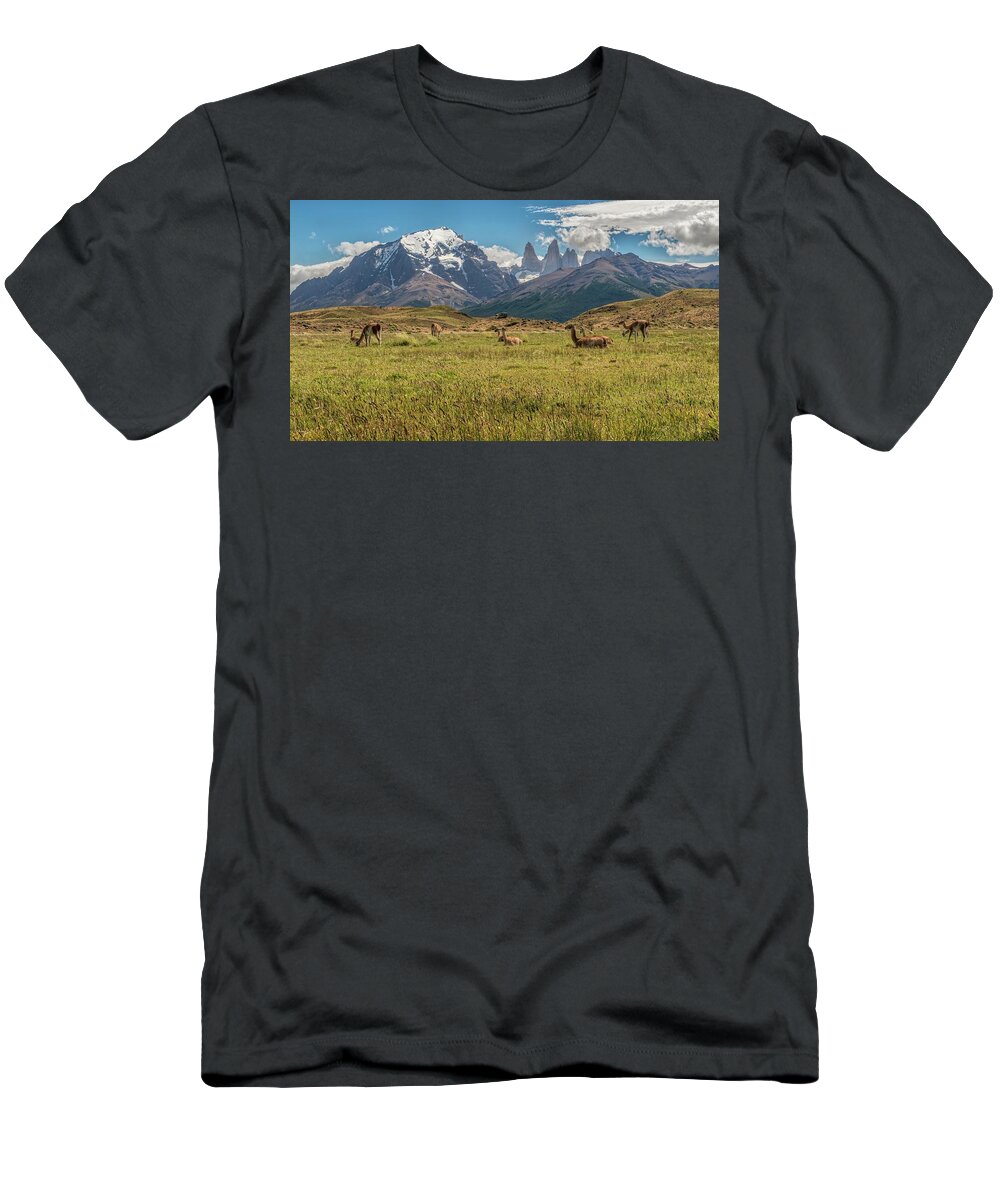 Andes T-Shirt featuring the photograph Herd of Guanacos grazing and resting in the foothills of Torres by Henri Leduc