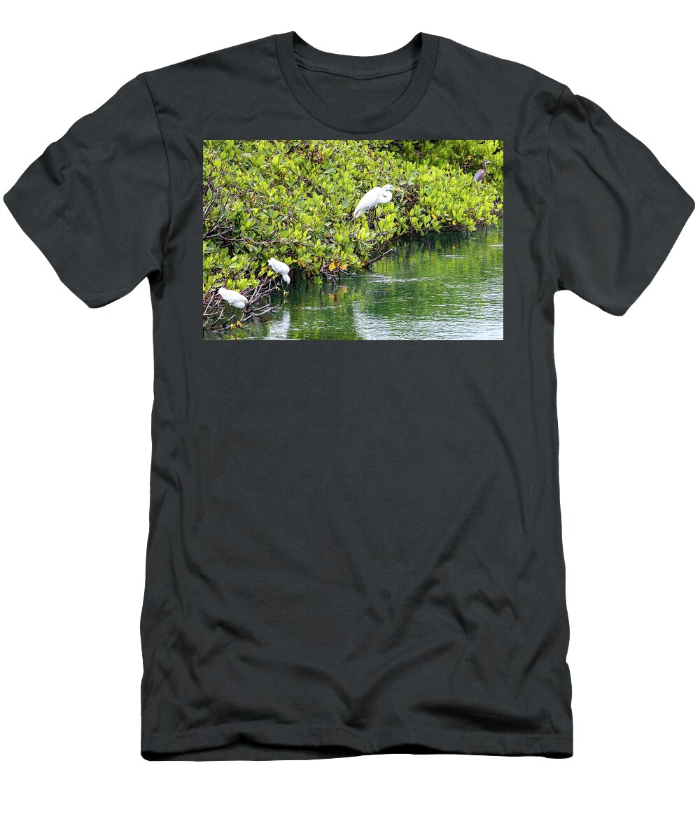 Bird T-Shirt featuring the photograph Heron Fish Dinner by Blair Damson