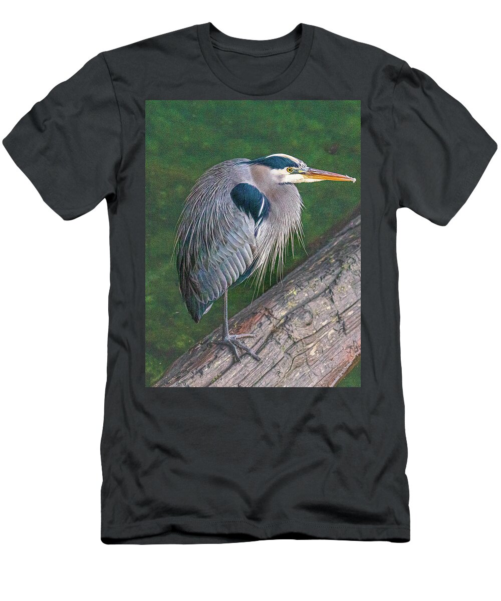 Wildlife T-Shirt featuring the photograph Heron On A Log by Claude Dalley