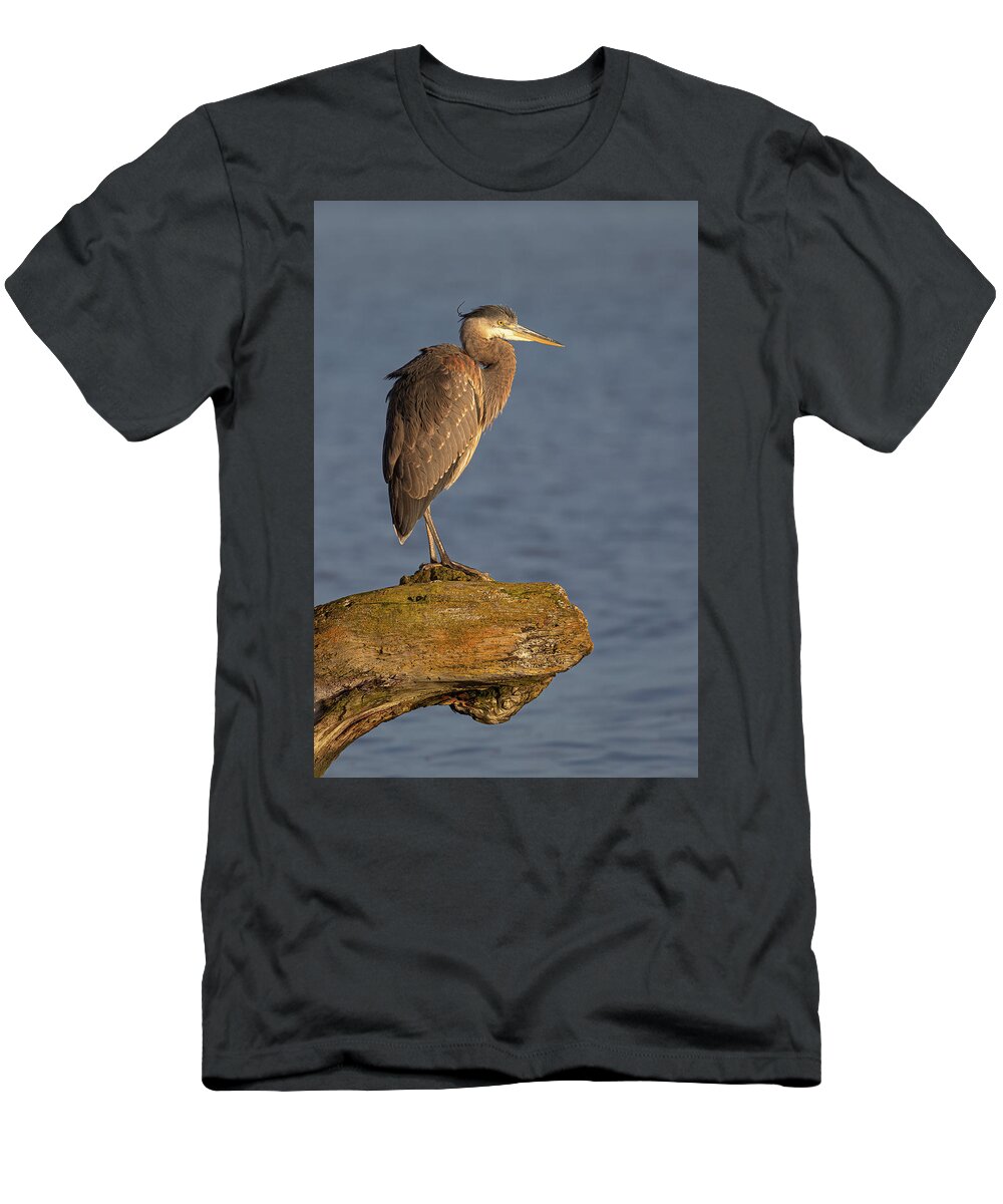 Blue Heron T-Shirt featuring the photograph Heron Sunset Vertical by Michael Rauwolf