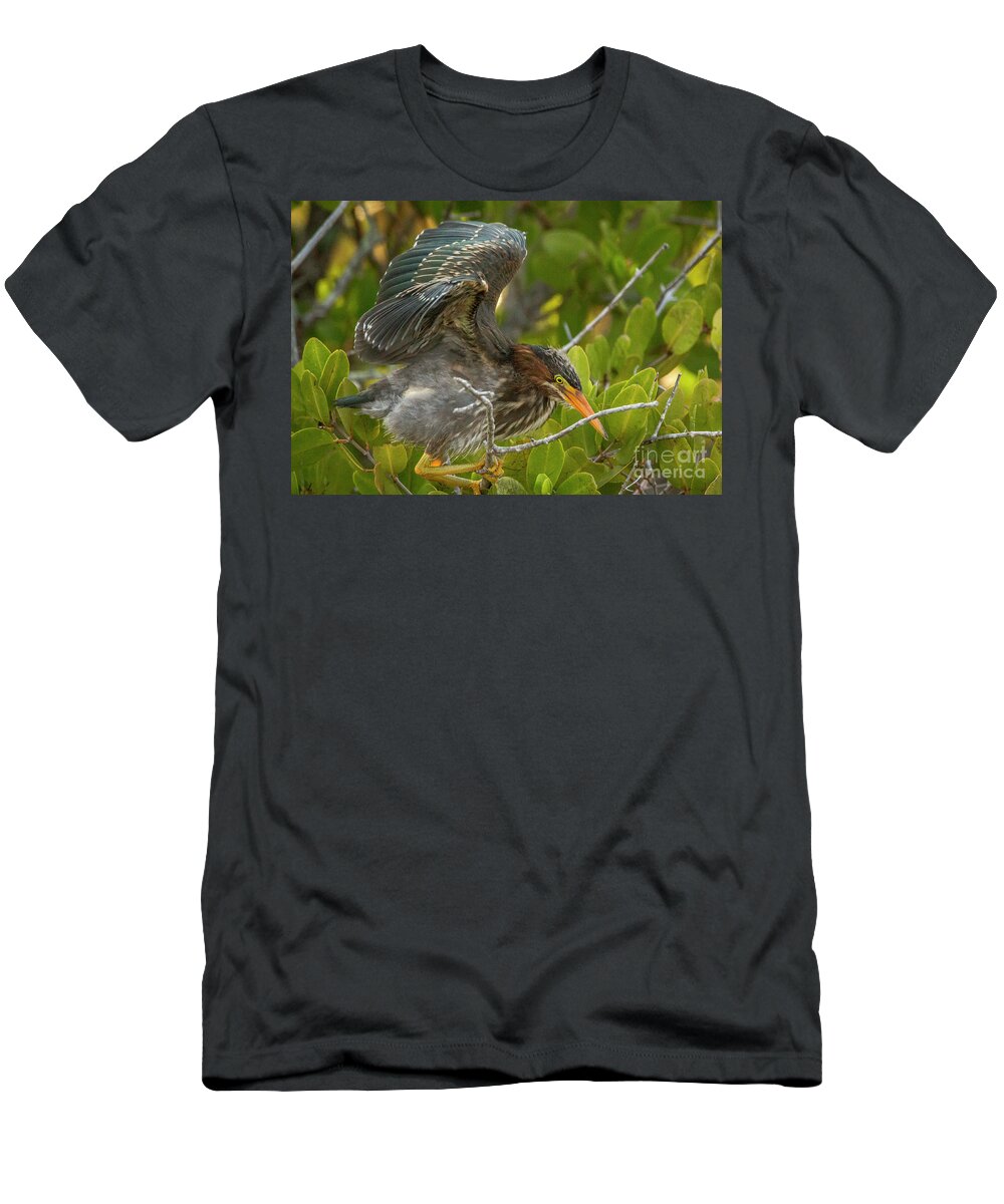 Heron T-Shirt featuring the photograph Heron Wing Flex by Tom Claud