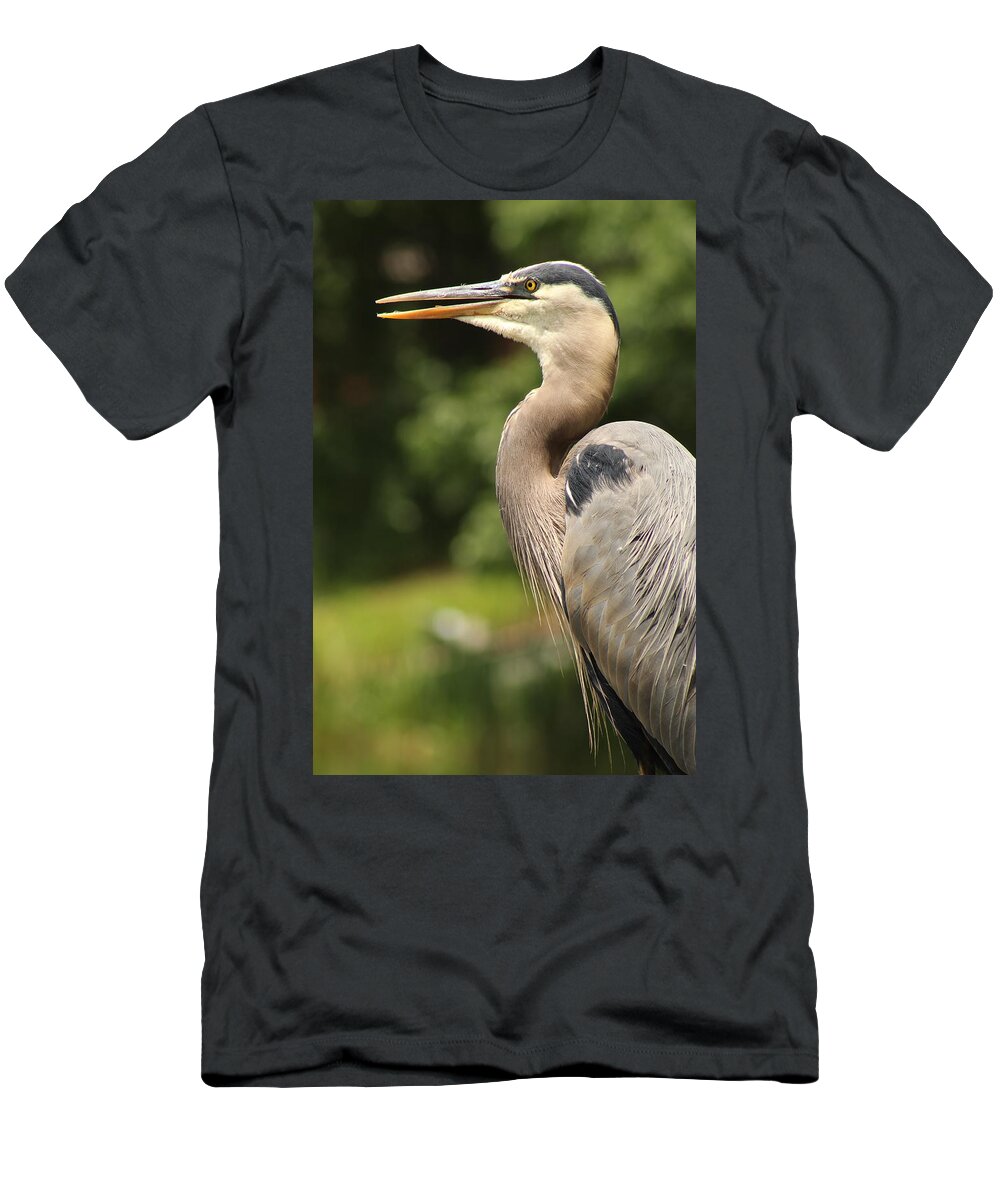 Jane Ford T-Shirt featuring the photograph Heron's Profile by Jane Ford