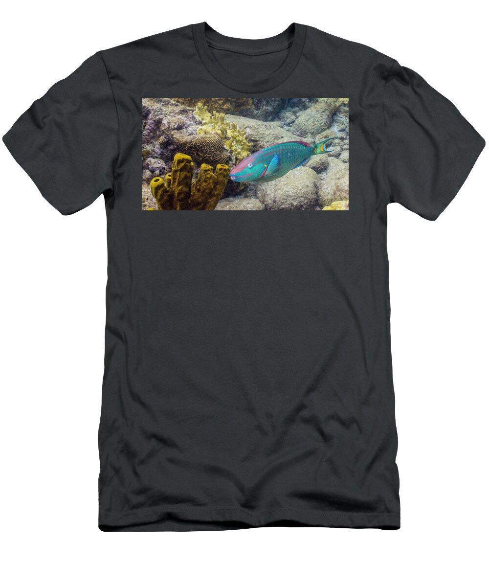 Animals T-Shirt featuring the photograph Hey Good Lookin' by Lynne Browne