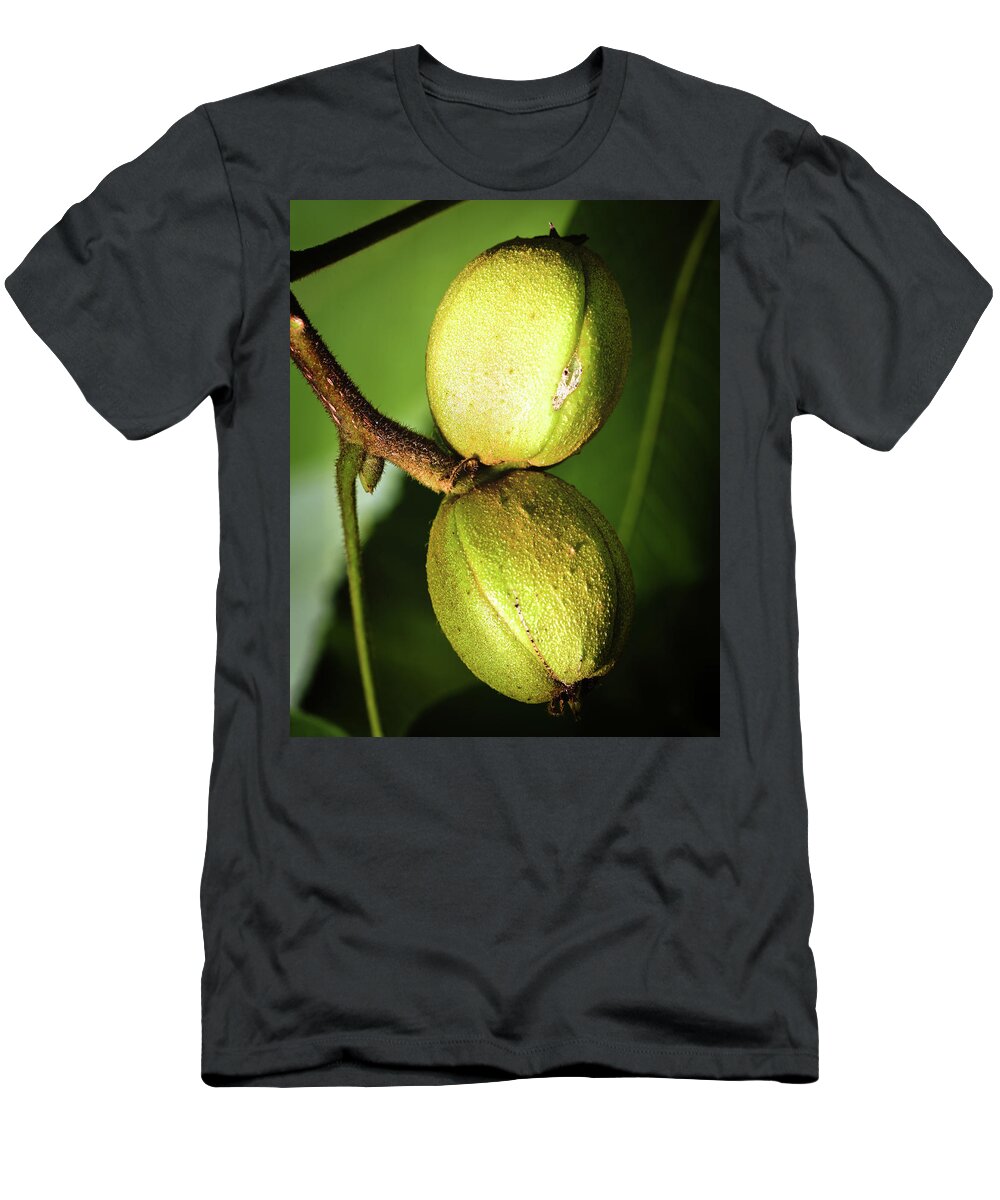 Hickory T-Shirt featuring the photograph Hickory Nuts by Steven Nelson
