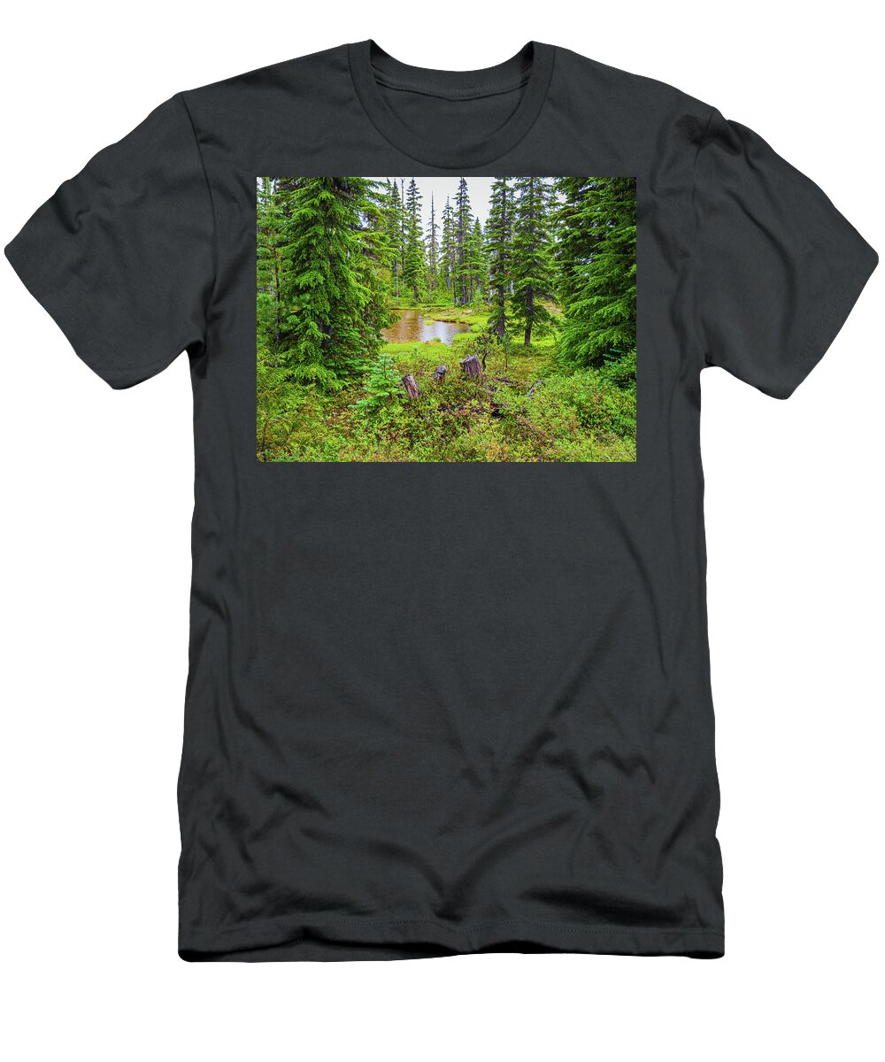 Landscapes T-Shirt featuring the photograph Hidden Pond by Claude Dalley