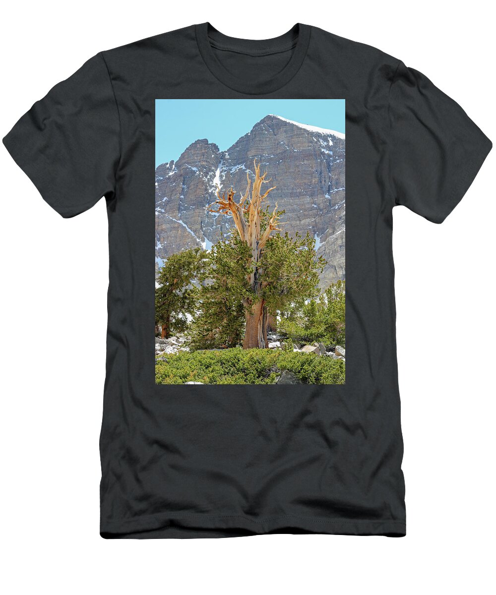 Nevada T-Shirt featuring the photograph High Elevation Perseverance - Great Basin National Park by Brett Pelletier