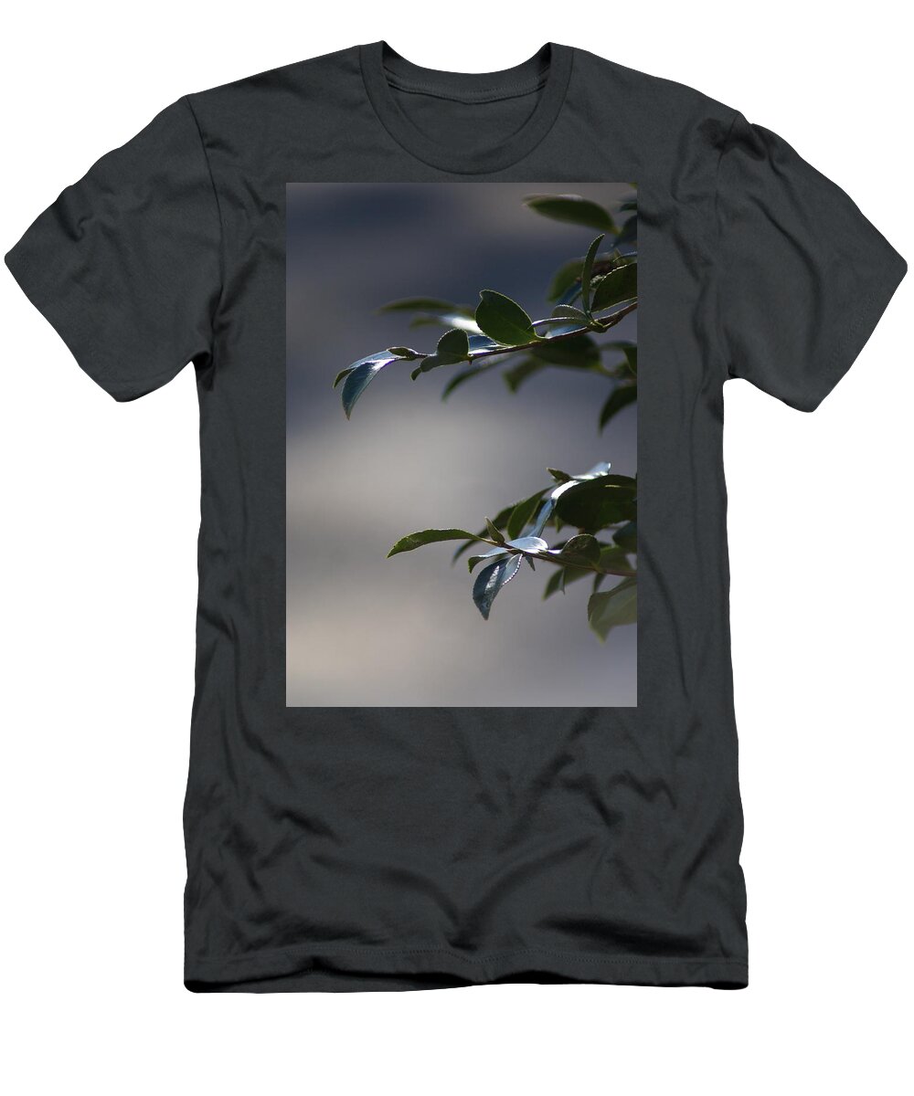  T-Shirt featuring the photograph Highlights by Heather E Harman