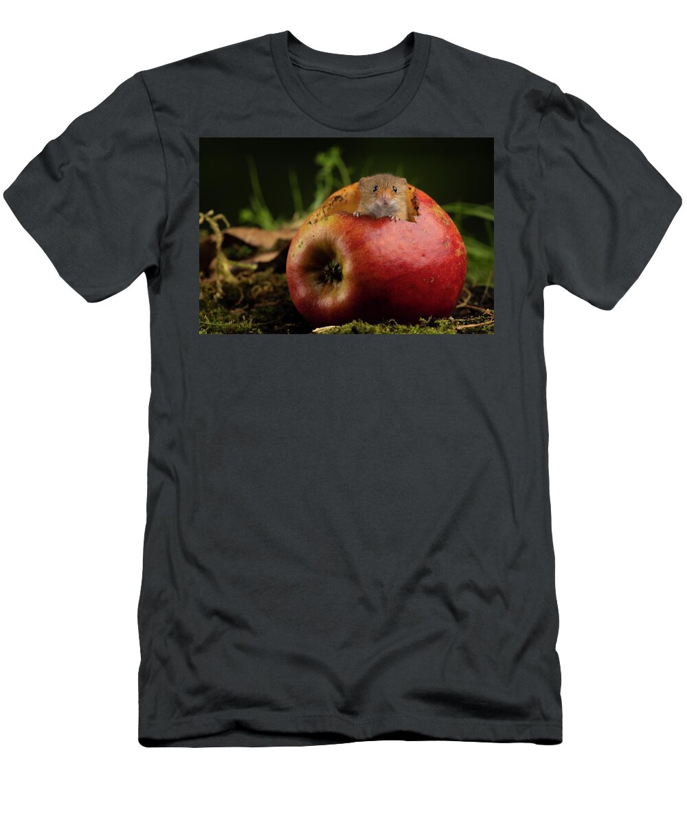 Harvest T-Shirt featuring the photograph Hm_2355 by Miles Herbert