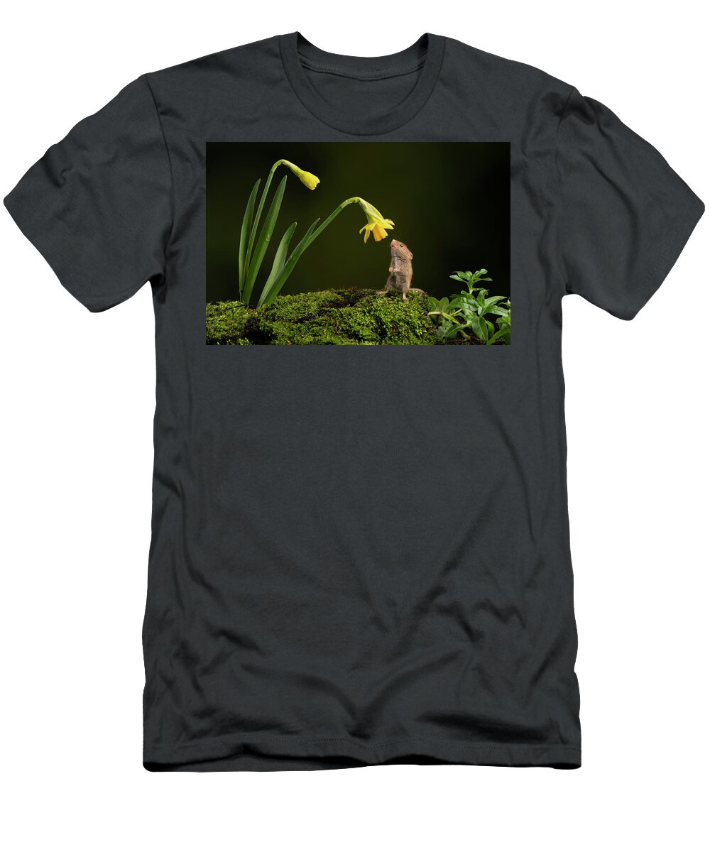 Harvest T-Shirt featuring the photograph HMdaff03443 by Miles Herbert