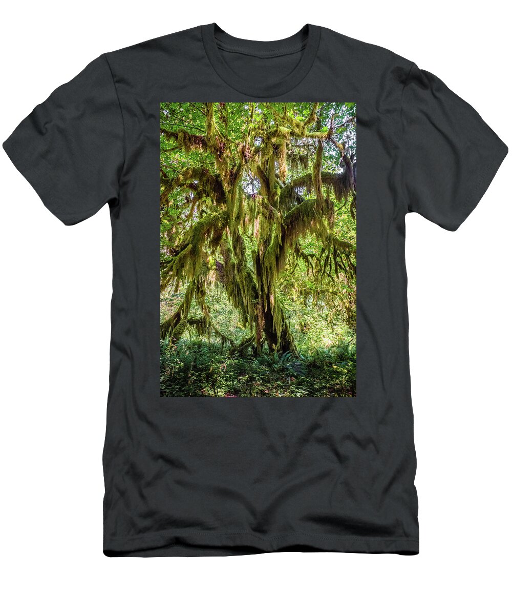 Washington T-Shirt featuring the photograph Hoh Forest #3 by Alberto Zanoni