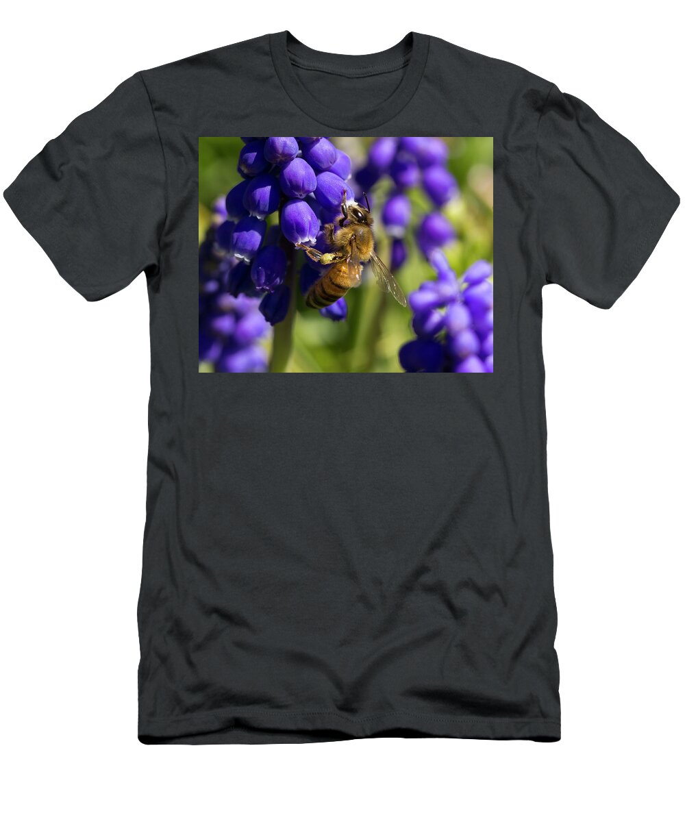 Bee T-Shirt featuring the photograph Honey Bee by David Beechum