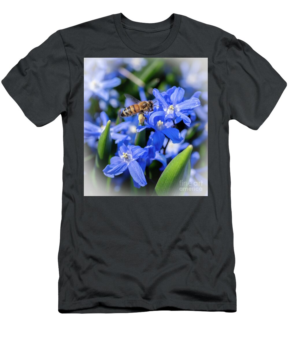 Honey Bee T-Shirt featuring the photograph Honey Bee on Scilla by Sandra Rust