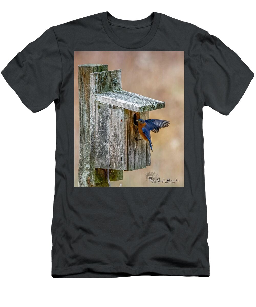 Bluebird T-Shirt featuring the photograph Honey I'm Home by Regina Muscarella