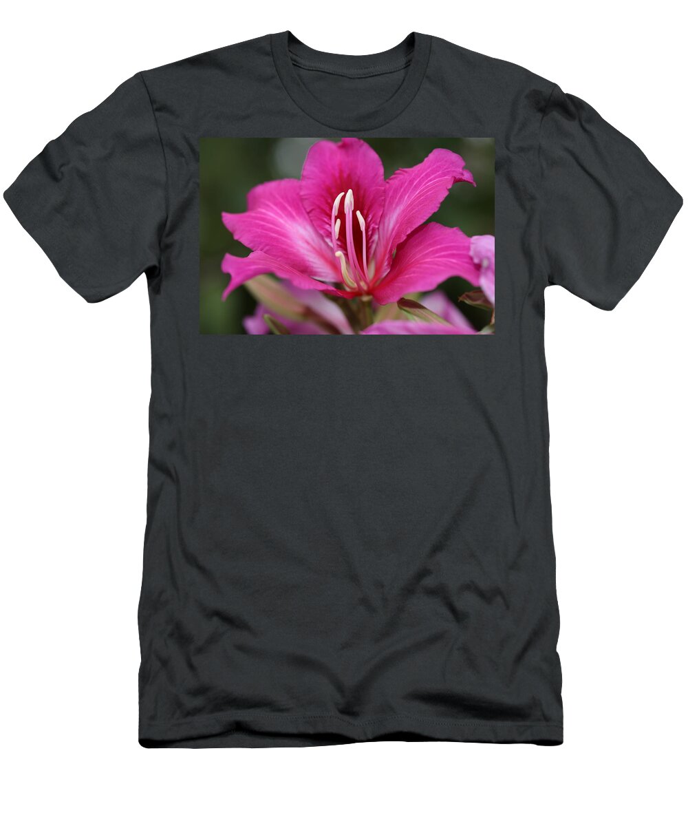 Hongkong Orchid T-Shirt featuring the photograph Hongkong Orchid II by Mingming Jiang