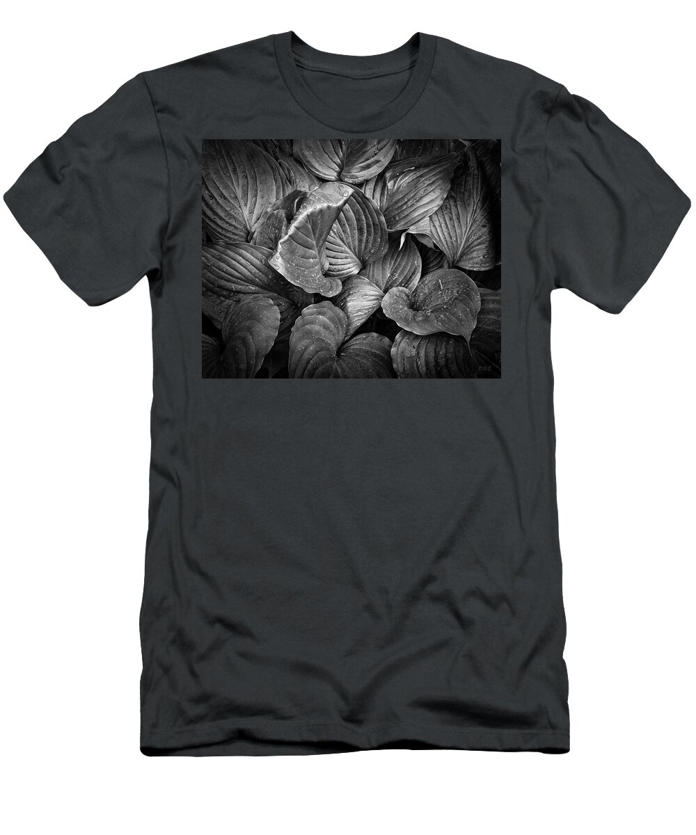 Black T-Shirt featuring the photograph Hosta III BW by David Gordon