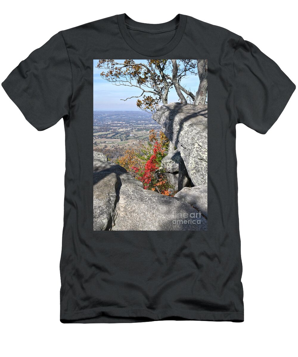 House Mountain T-Shirt featuring the photograph House Mountain 16 by Phil Perkins