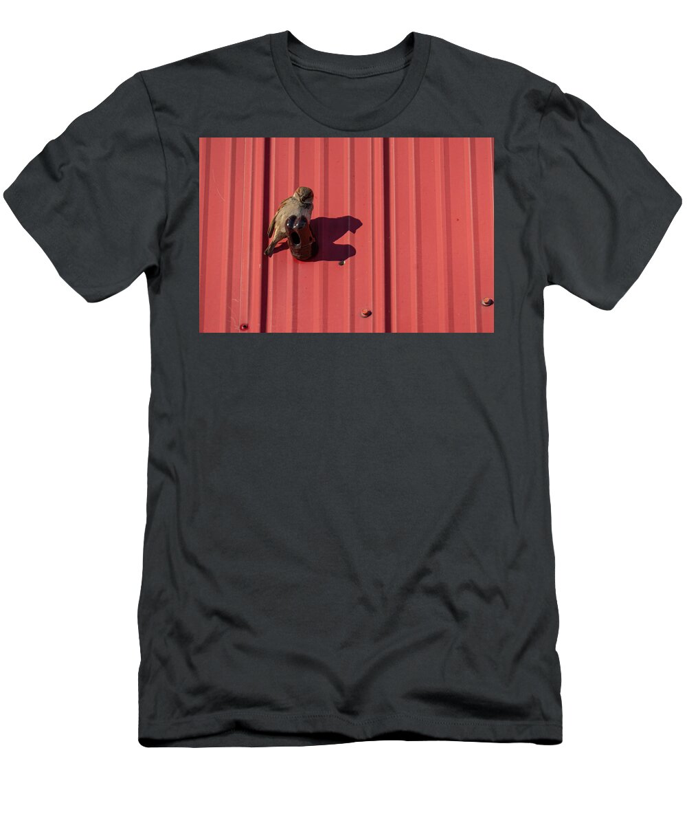 Sparrow T-Shirt featuring the photograph House Sparrow On A Barn Wall by Karen Rispin