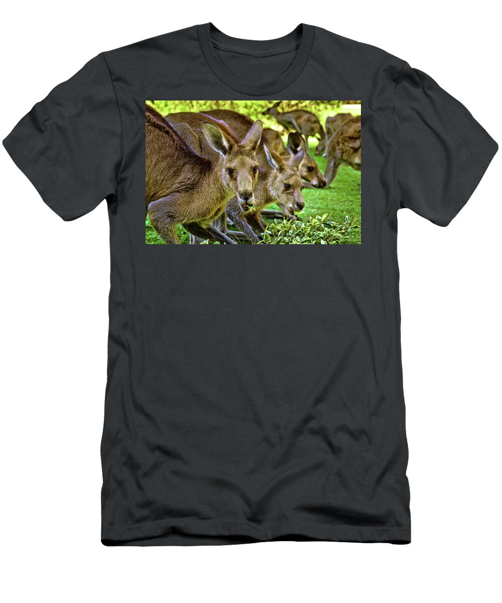 A Group Of Kangaroos T-Shirt featuring the photograph Howdy by Az Jackson