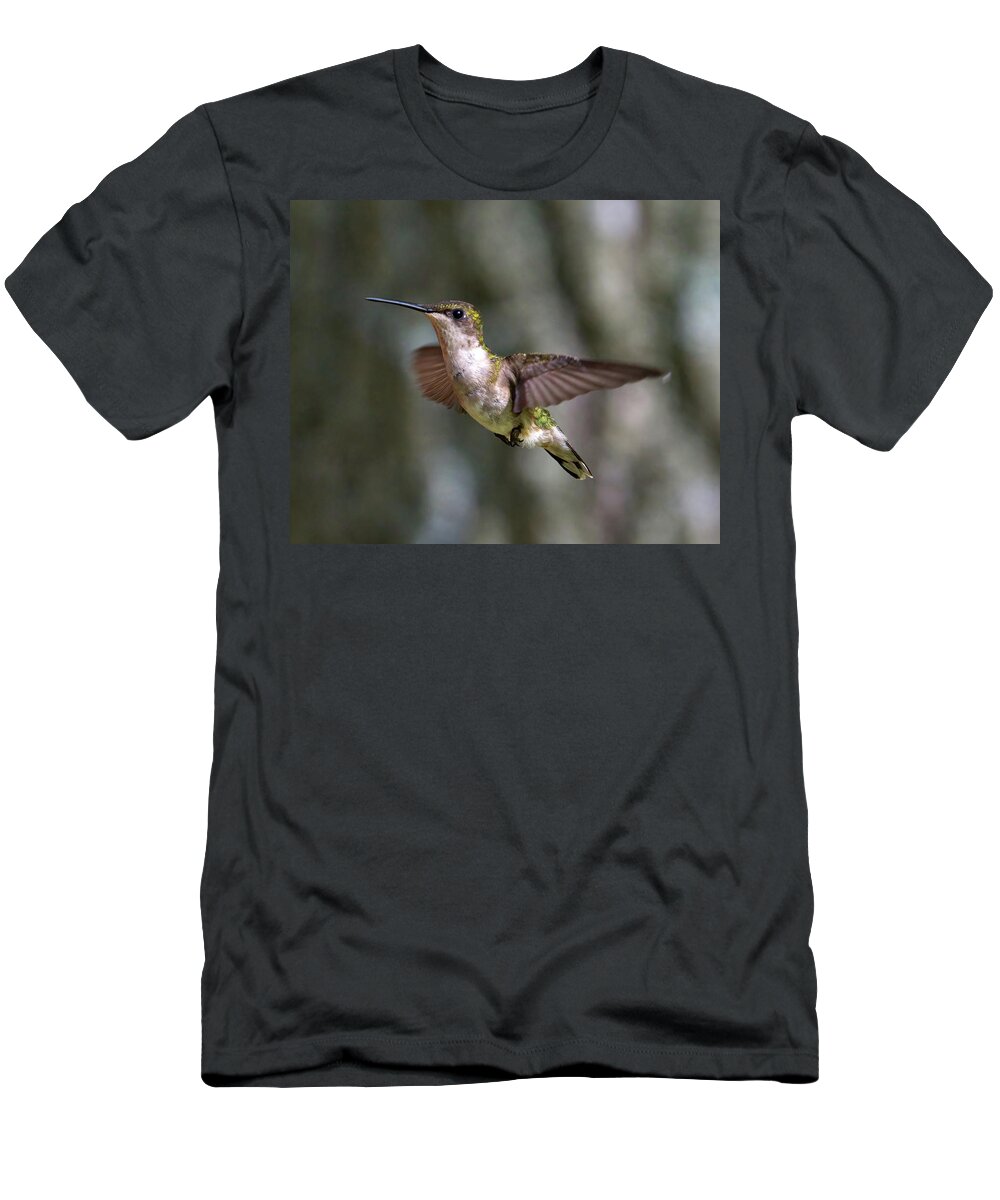 Hummingbird T-Shirt featuring the photograph Hummingbird 1 by Flinn Hackett