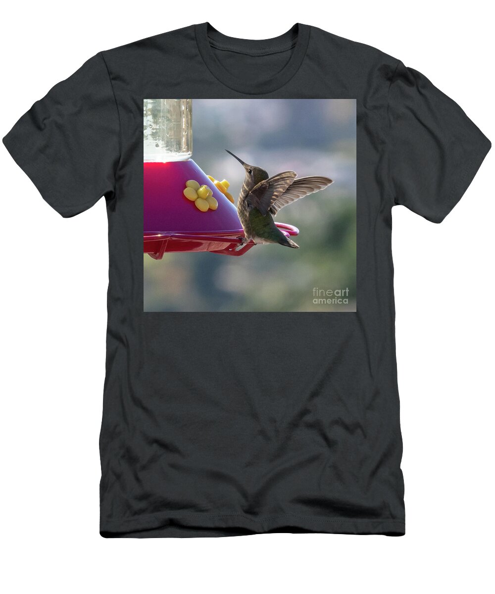Bird T-Shirt featuring the photograph Hummingbird by Abigail Diane Photography