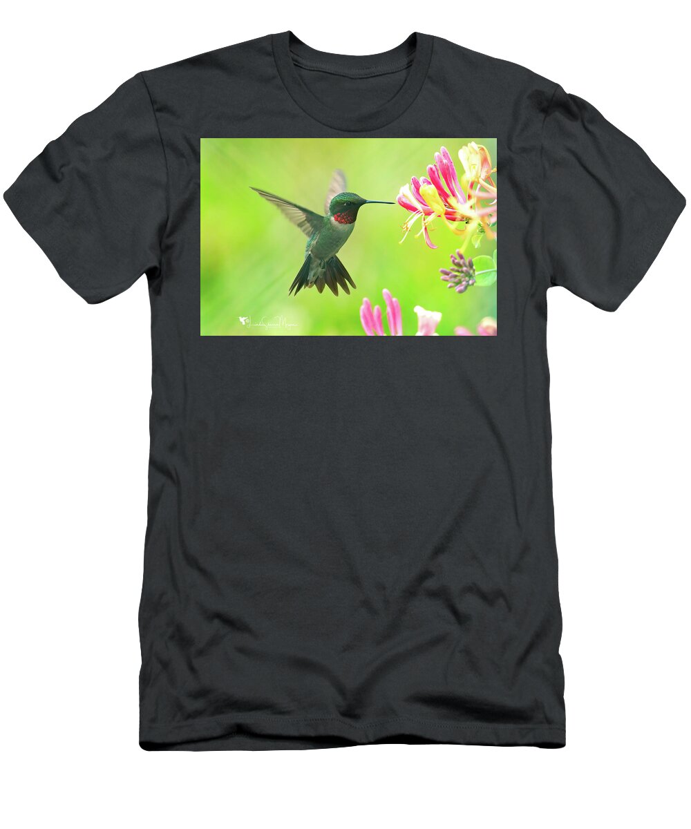Nature T-Shirt featuring the photograph Hummingbird Beauty by Linda Shannon Morgan