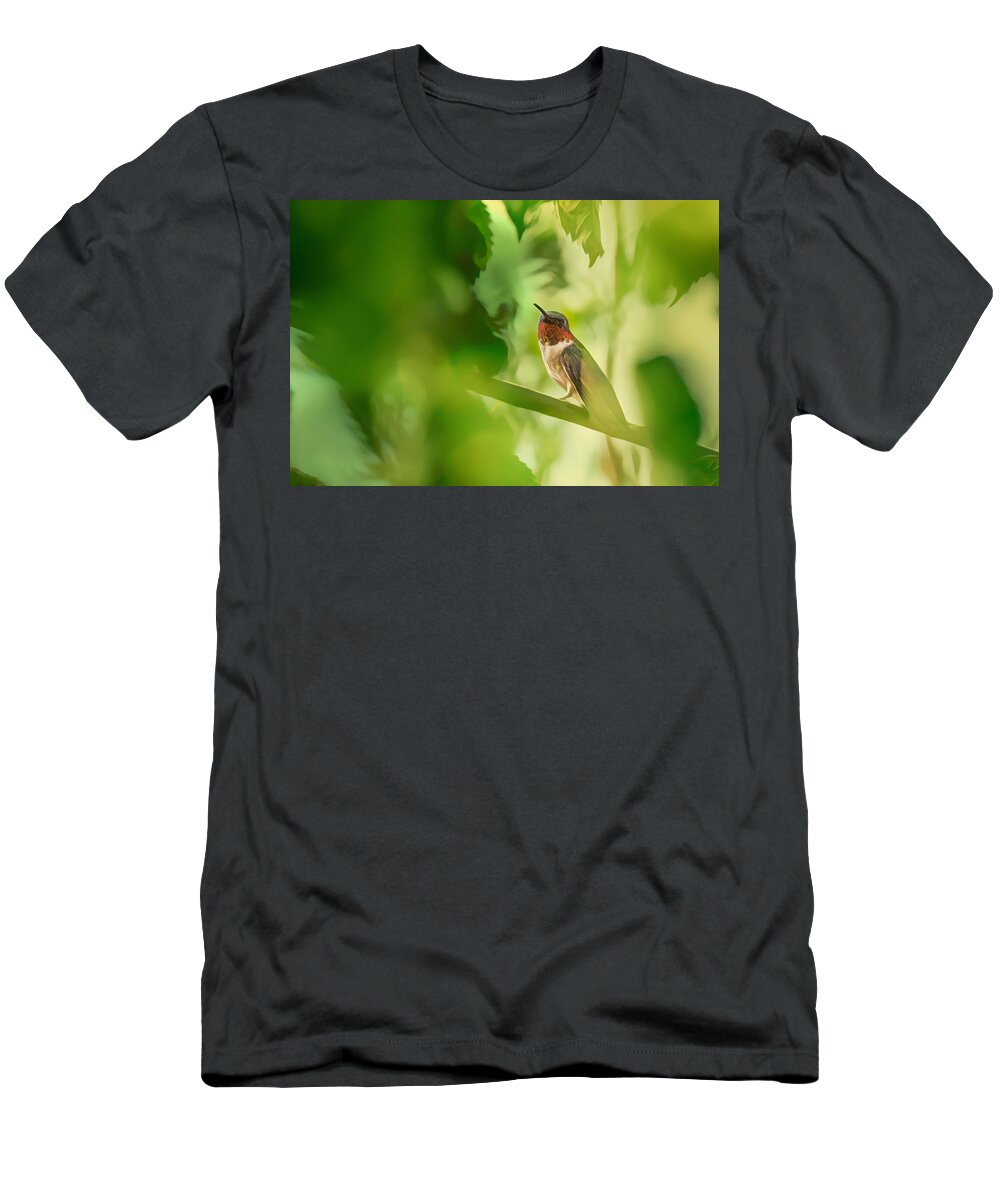 Hummingbird T-Shirt featuring the photograph Hummingbird in Tree by Allin Sorenson