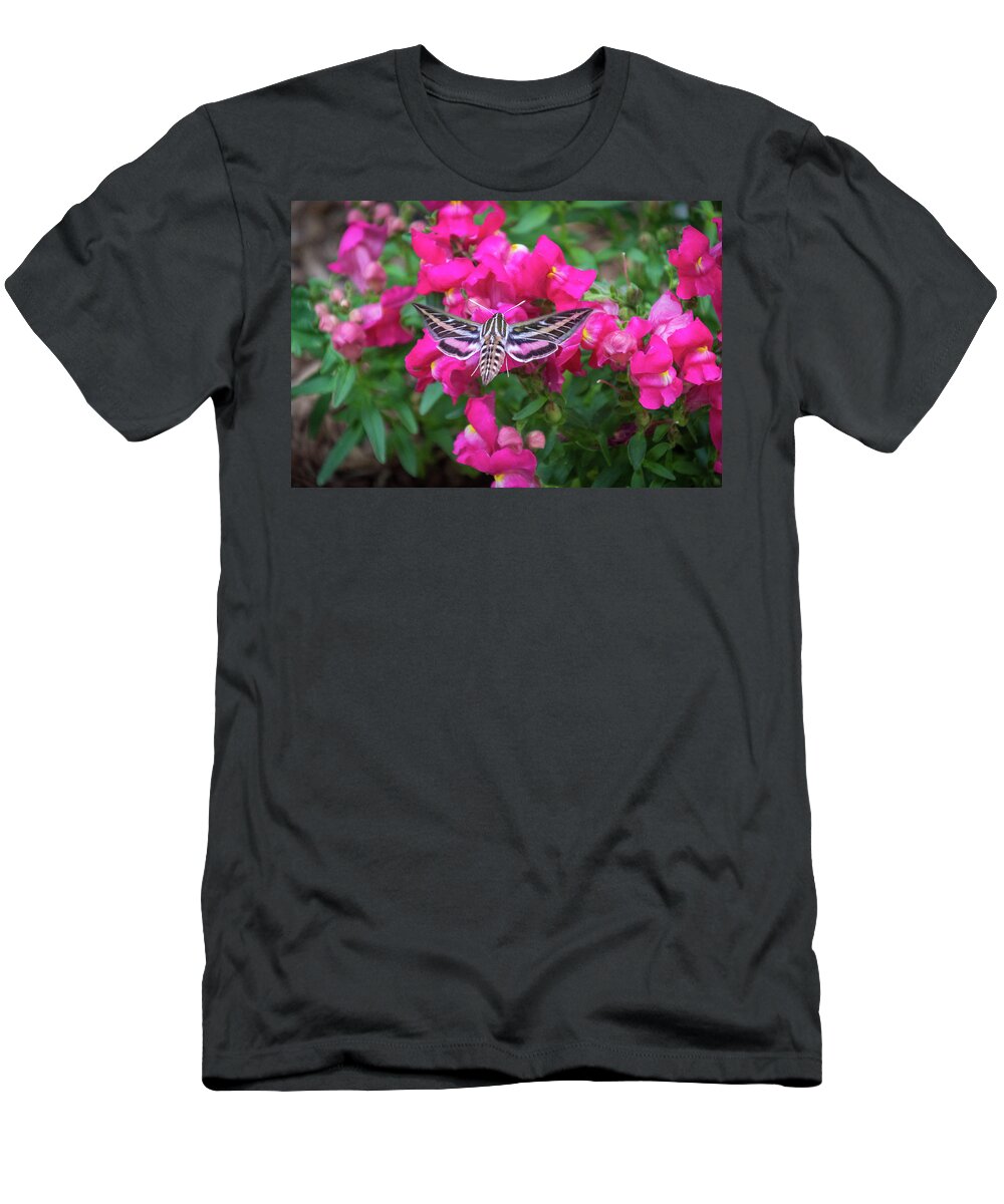 Colorado Flowers T-Shirt featuring the photograph Hummingbird Moth and Pink Snapdragons by Debra Martz