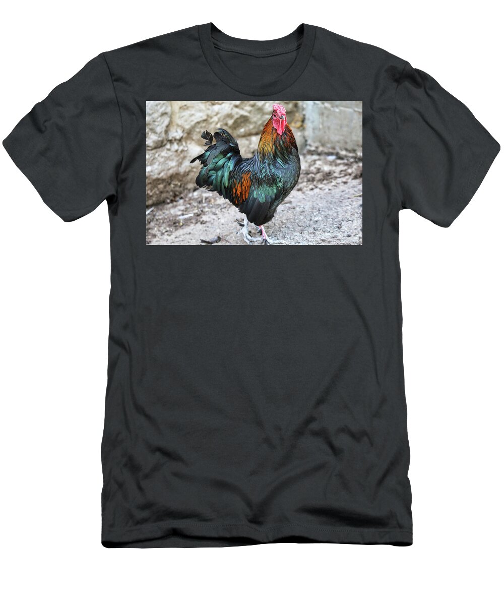 Rooster T-Shirt featuring the photograph I Am King Rooster by Scott Burd